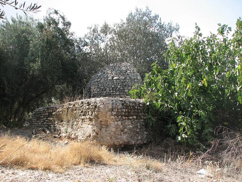 Archival photograph of Bayt Darras