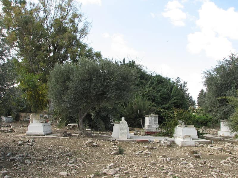Archival photograph of Balad al-Shaykh